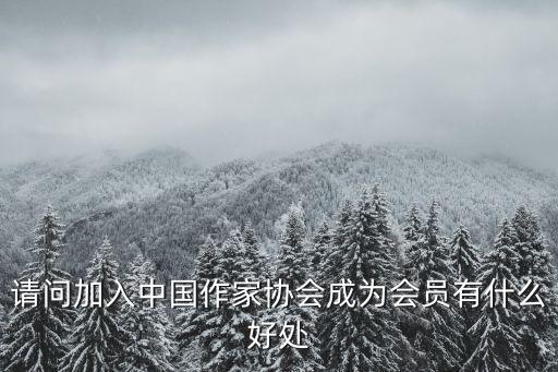 加入中国药师协会有什么好处,加入书协有什么好处
