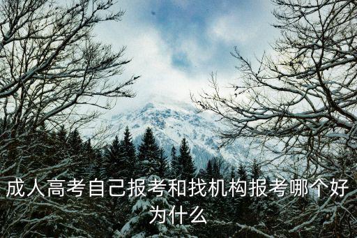 成人高考自己报考和找机构报考哪个好为什么