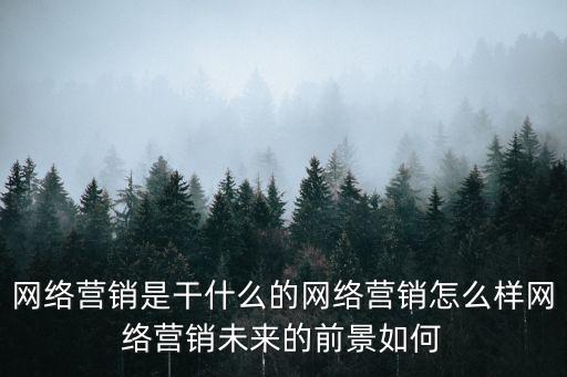 网络营销是干什么的网络营销怎么样网络营销未来的前景如何