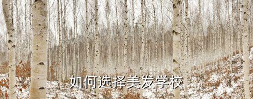 什么美发学校最好2017,如何选择美发学校