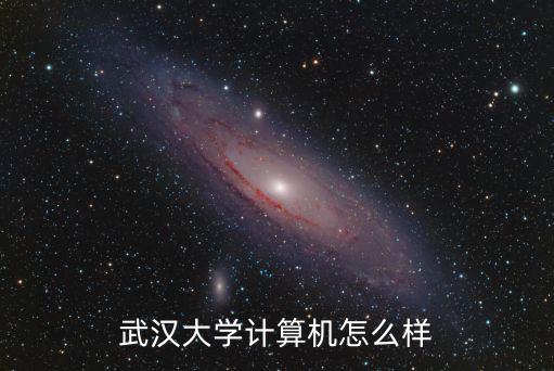武汉大学计算机怎么样