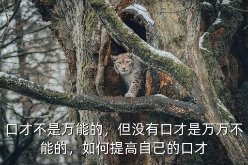 口才不是万能的，但没有口才是万万不能的，如何提高自己的口才