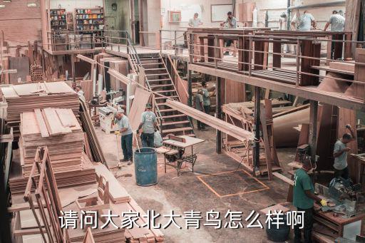 请问大家北大青鸟怎么样啊