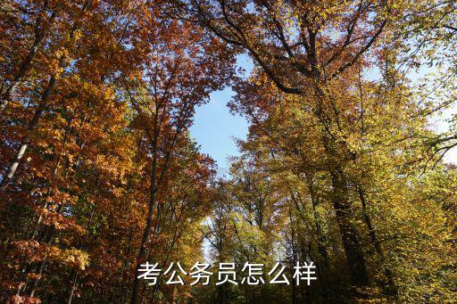 考公务员怎么样