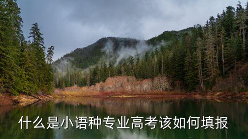 什么是小语种专业高考该如何填报
