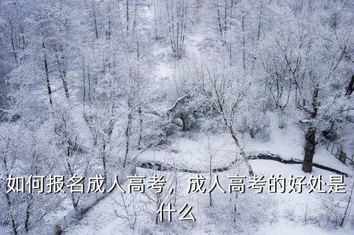 如何报名成人高考，成人高考的好处是什么