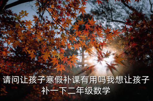 请问让孩子寒假补课有用吗我想让孩子补一下二年级数学