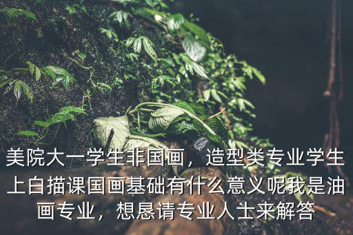 美院大一学生非国画，造型类专业学生上白描课国画基础有什么意义呢我是油画专业，想恳请专业人士来解答