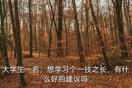 大学生一名，想学习个一技之长，有什么好的建议吗