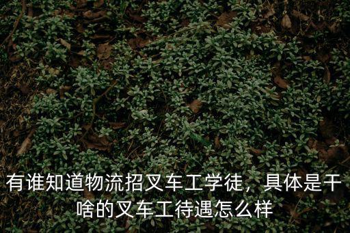 有谁知道物流招叉车工学徒，具体是干啥的叉车工待遇怎么样