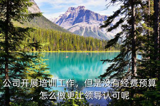 公司开展培训工作，但是没有经费预算，怎么做更让领导认可呢