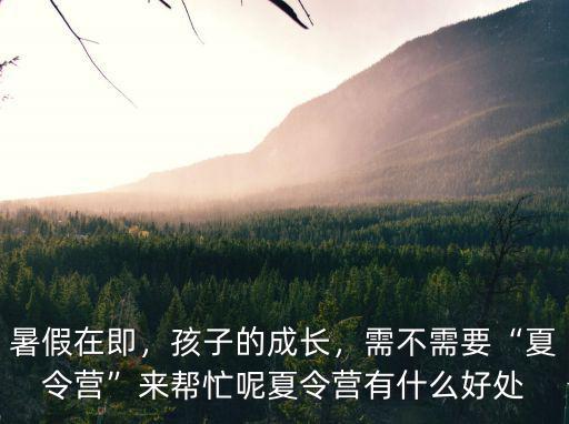 暑假在即，孩子的成长，需不需要“夏令营”来帮忙呢夏令营有什么好处
