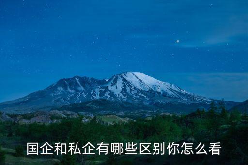 国企和私企有哪些区别你怎么看