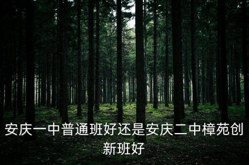 安庆一中普通班好还是安庆二中樟苑创新班好