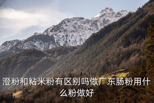 澄粉和粘米粉有区别吗做广东肠粉用什么粉做好