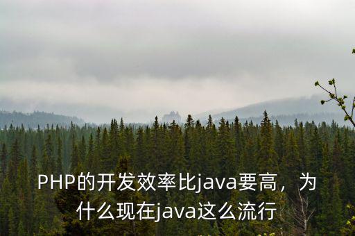 PHP的开发效率比java要高，为什么现在java这么流行