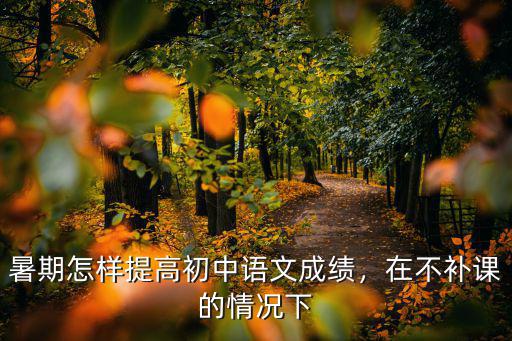 暑期怎样提高初中语文成绩，在不补课的情况下