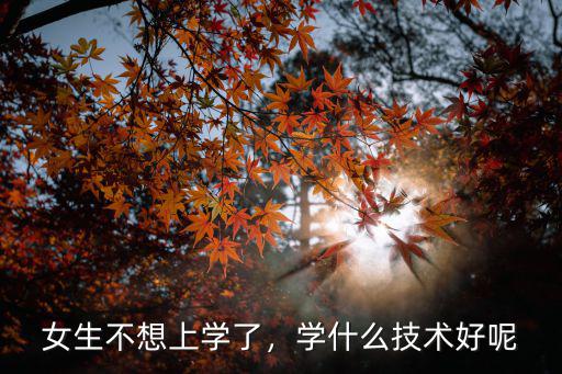 女生不想上学了，学什么技术好呢
