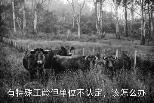 有特殊工龄但单位不认定，该怎么办