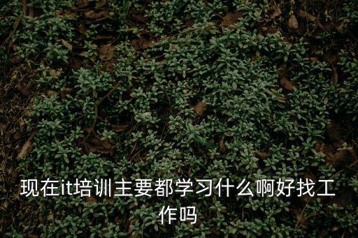 现在it培训主要都学习什么啊好找工作吗