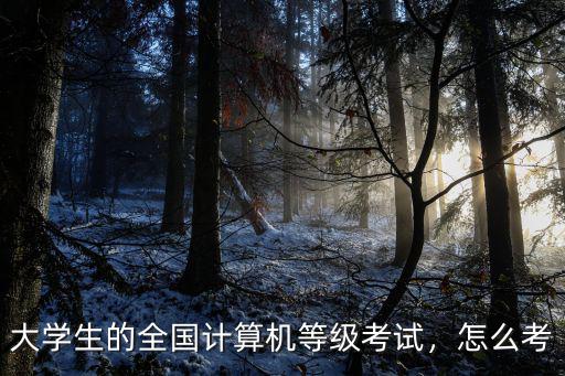 大学生的全国计算机等级考试，怎么考
