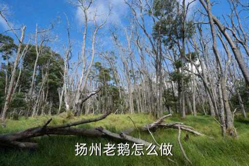 扬州老鹅怎么做