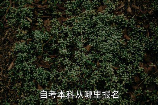 哪里自考报名,自考本科从哪里报名