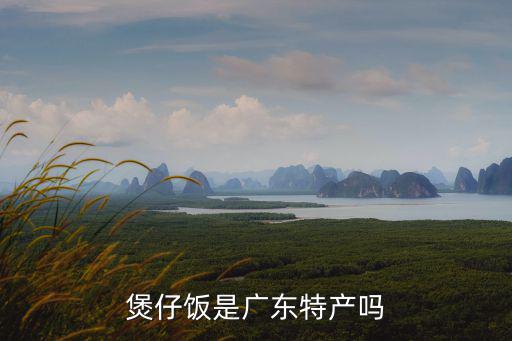 煲仔饭是广东特产吗