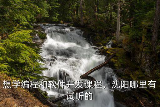 想学编程和软件开发课程，沈阳哪里有试听的
