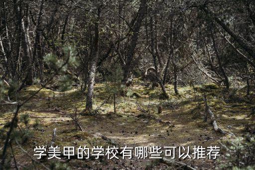 南宁美甲学校怎么样,男生学美甲怎么样
