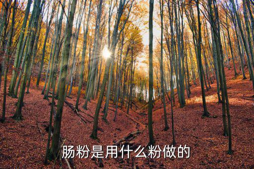 厦门肠粉是什么做的,肠粉是用什么粉做的