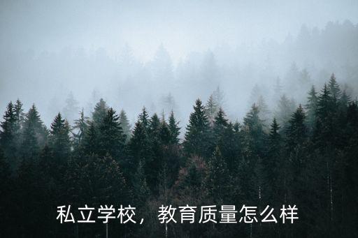 私立学校，教育质量怎么样