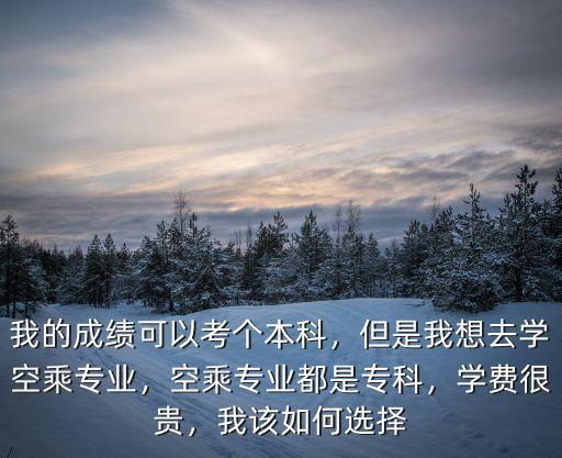 我的成绩可以考个本科，但是我想去学空乘专业，空乘专业都是专科，学费很贵，我该如何选择