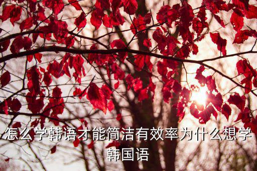 怎么学韩语才能简洁有效率为什么想学韩国语