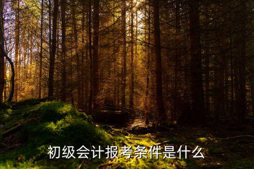 初级会计报考条件是什么