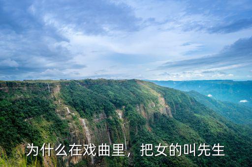 为什么在戏曲里，把女的叫先生