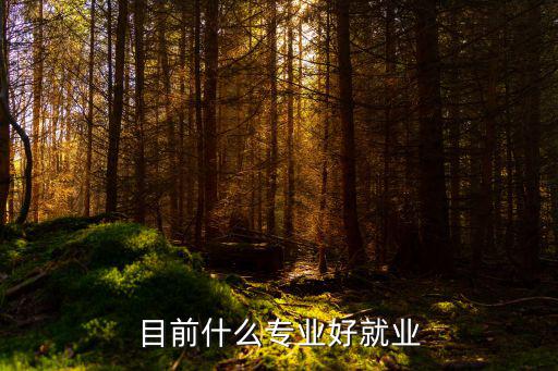 什么专业就业比较好,什么专业好就业