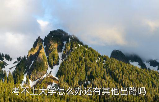 考不上大学怎么办还有其他出路吗
