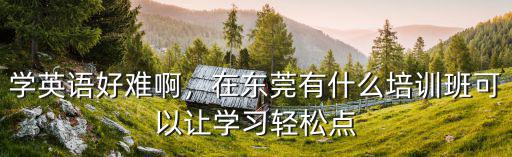 学英语好难啊，在东莞有什么培训班可以让学习轻松点