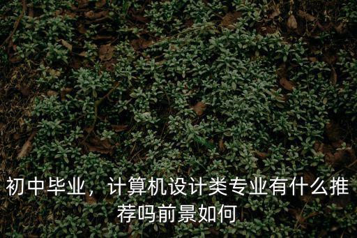 初中毕业，计算机设计类专业有什么推荐吗前景如何