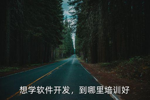 想学软件开发，到哪里培训好