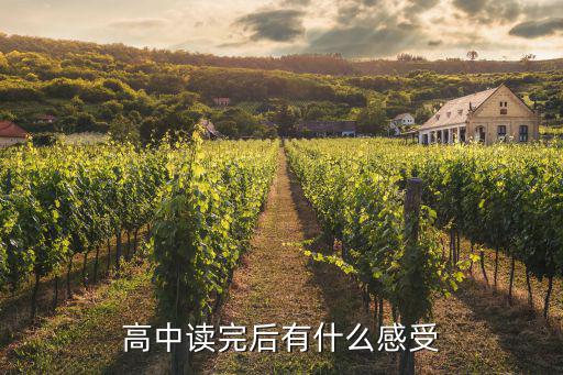 高中读完后有什么感受