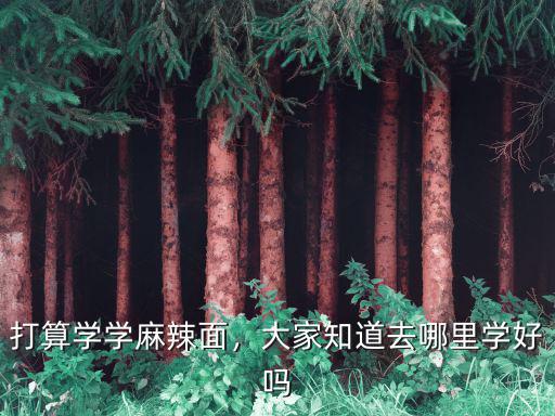 打算学学麻辣面，大家知道去哪里学好吗