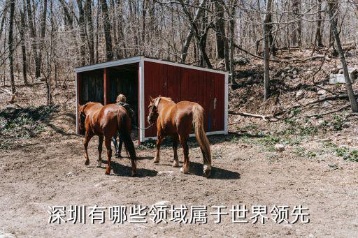 深圳有哪些领域属于世界领先