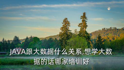 JAVA跟大数据什么关系,想学大数据的话哪家培训好