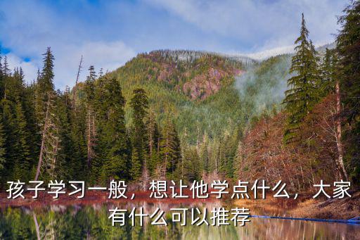 孩子学习一般，想让他学点什么，大家有什么可以推荐