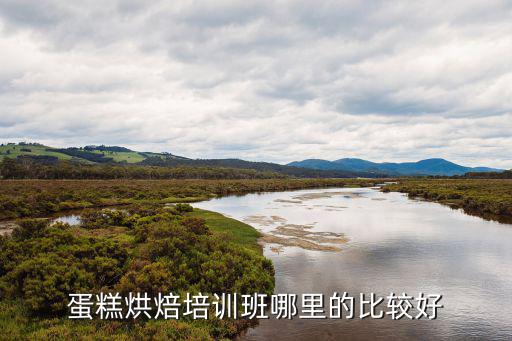 景德镇哪里有蛋糕培训机构,蛋糕烘焙培训班哪里的比较好