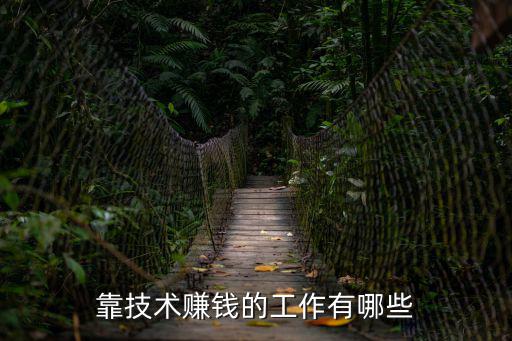 靠技术赚钱的工作有哪些