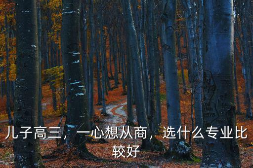 儿子高三，一心想从商，选什么专业比较好