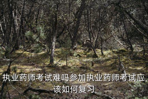 执业药师考试怎么复习,执业药师考试复习中